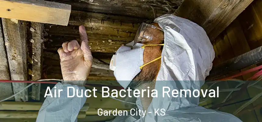  Air Duct Bacteria Removal Garden City - KS