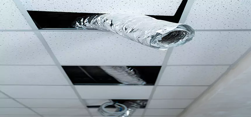 Affordable HVAC Sanitizing After Pest Removal in Garden City