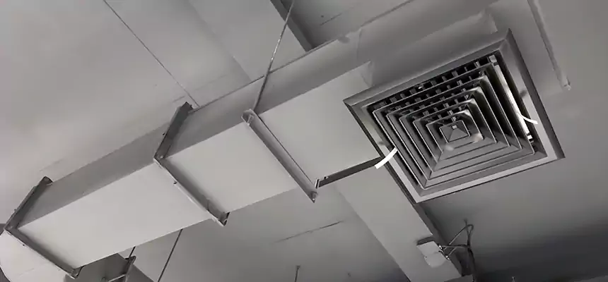 Our Pest Removal From Ducts Services in Garden City, KS