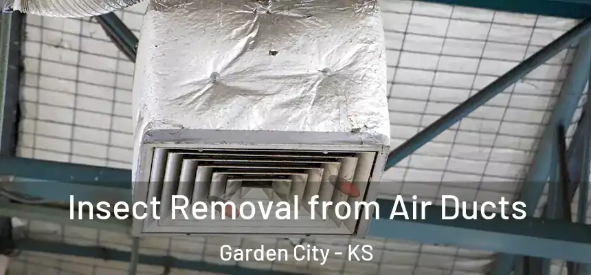  Insect Removal from Air Ducts Garden City - KS