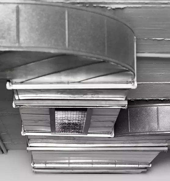 Professional Air Duct Pest Removal in Garden City, KS