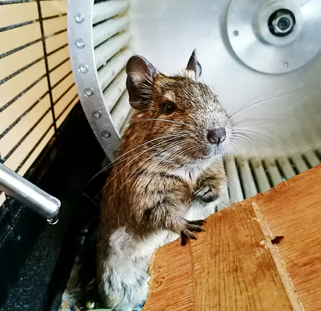 Why Homeowners & Businesses Trust Us Garden City, KS